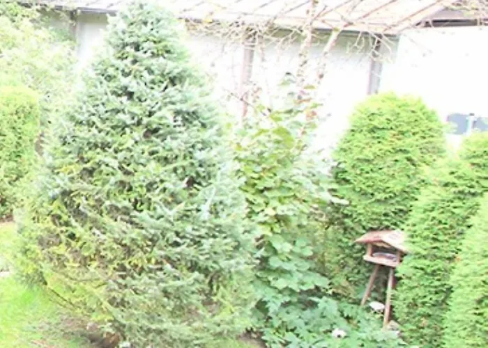 Апартаменти Carina, Martin, Michael & Sissi